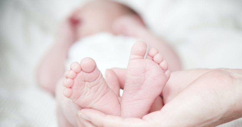 Pexels/Rene Asmussen